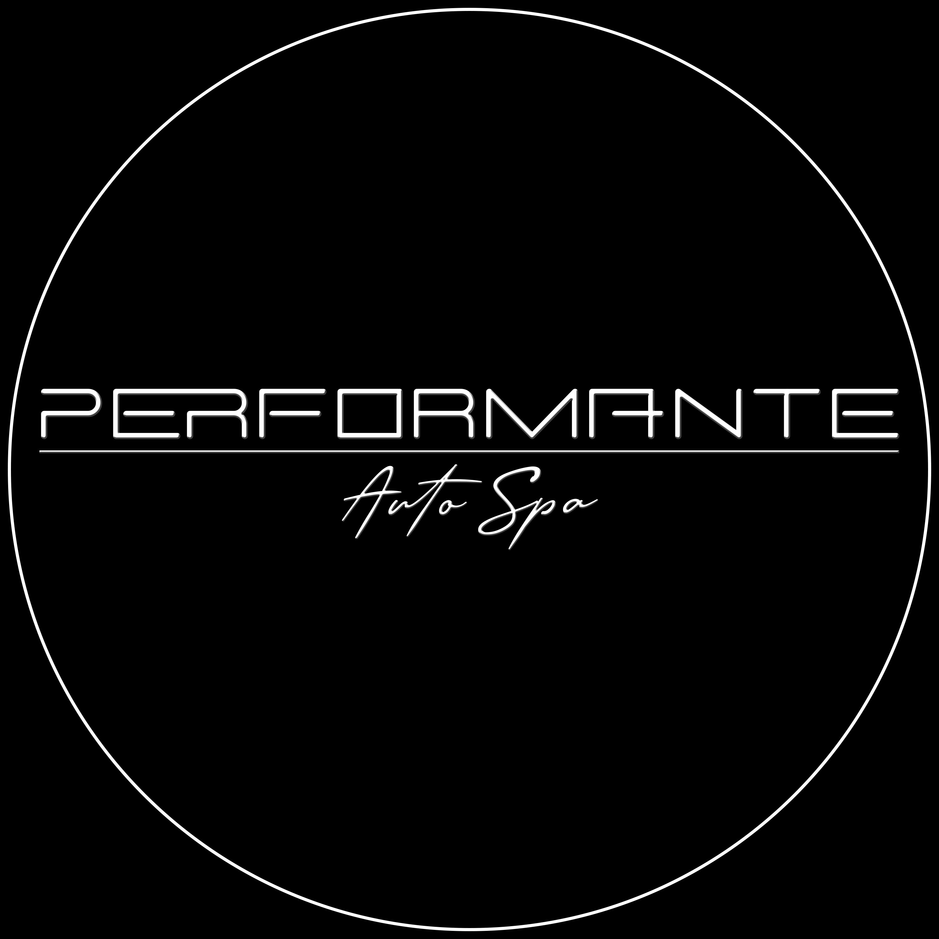 Performante Auto Spa  logo