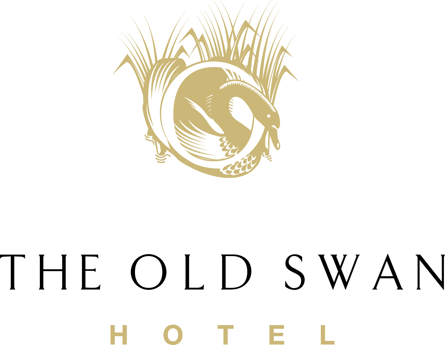 The Old Swan Hotel logo