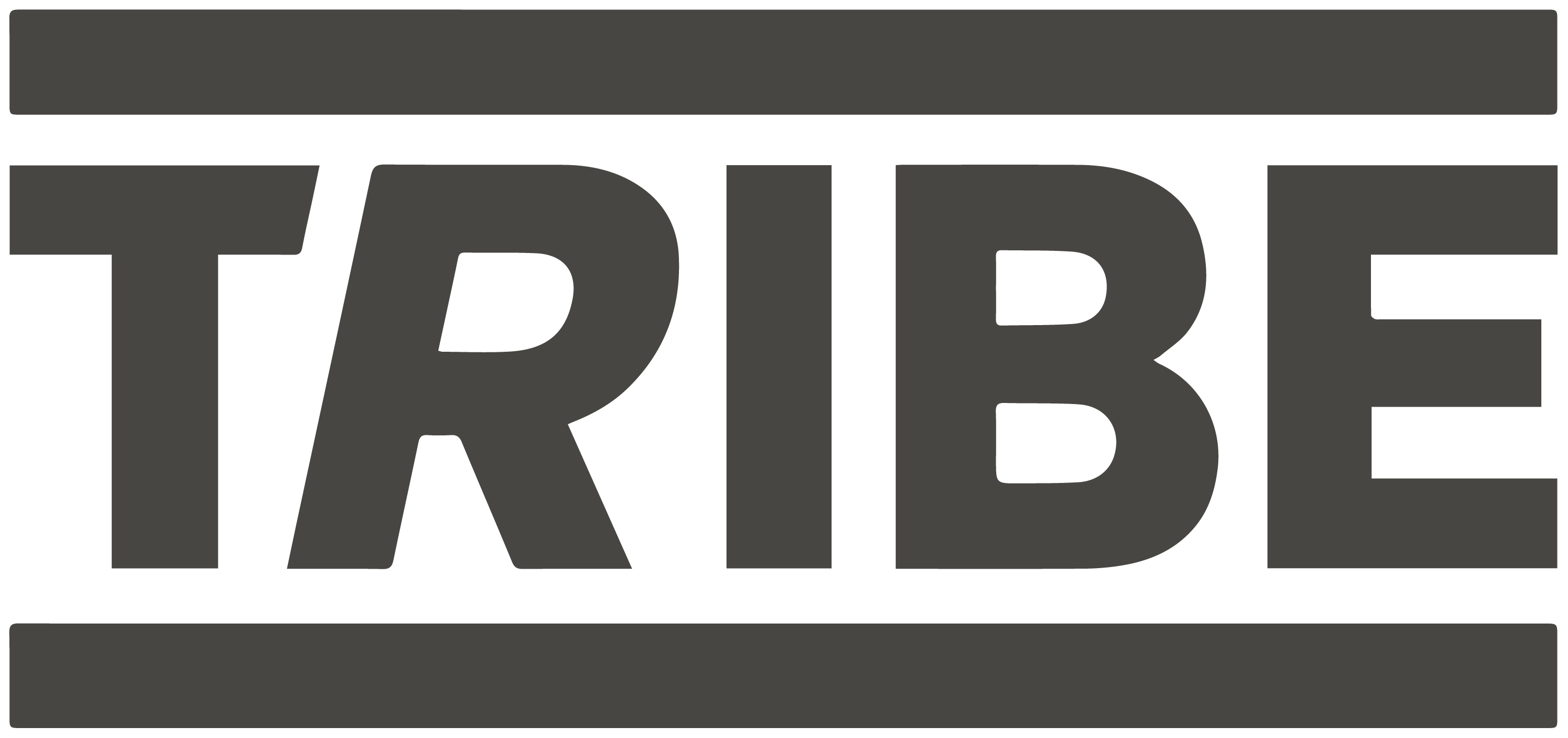 TRIBE logo